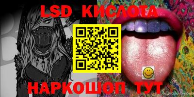 крисы Малгобек
