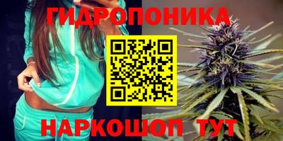 гидропоника Мариинск