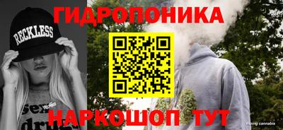 крисы Малгобек