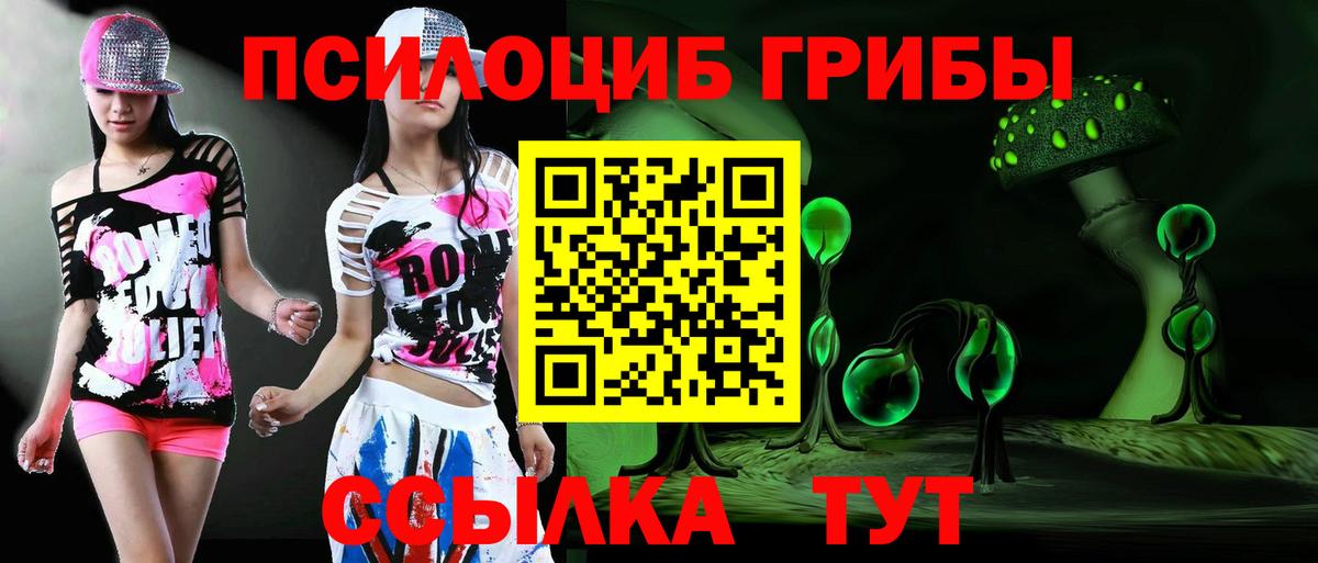 Ухта  Псилоцибиновые грибы Psilocybe  Вход с VPN 